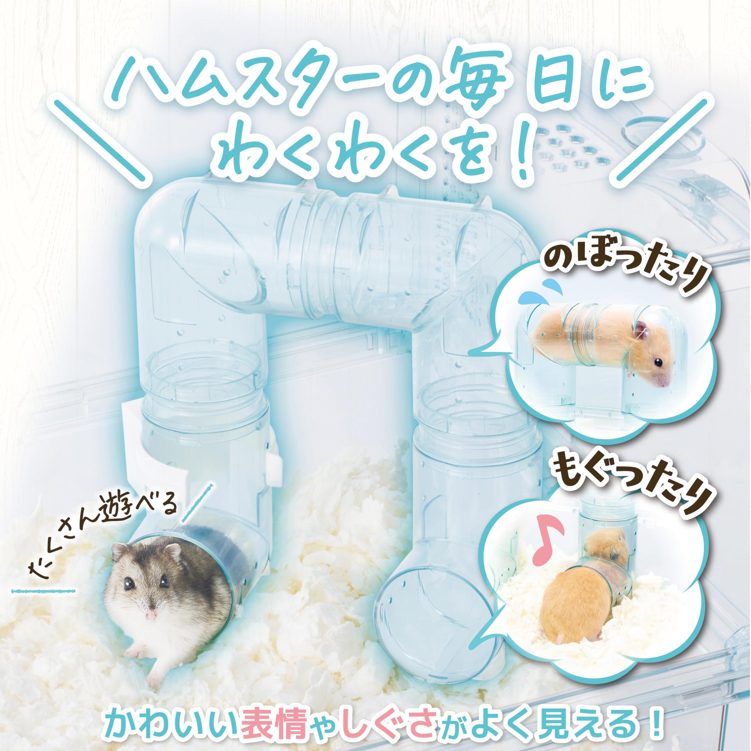 Amazon.co.jp: ジェックス Harmony ハーモニーアスレチック クリア